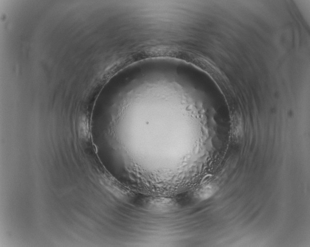 X0000067490669200604071205