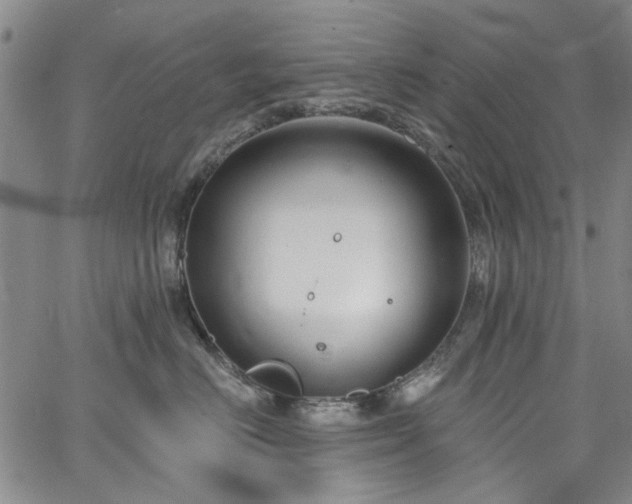 X0000067490670200604071205