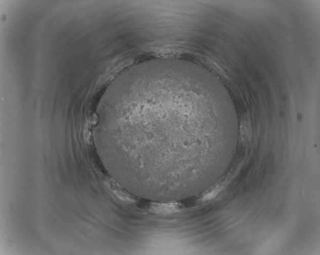 X0000067490671200604071205