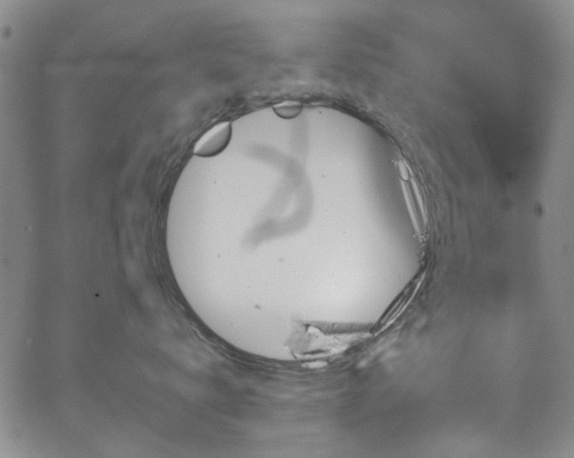 X0000067490672200604071205