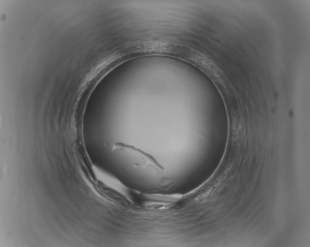 X0000067490674200604071204