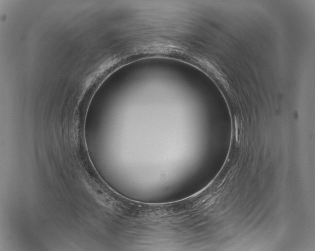 X0000067490675200604071204