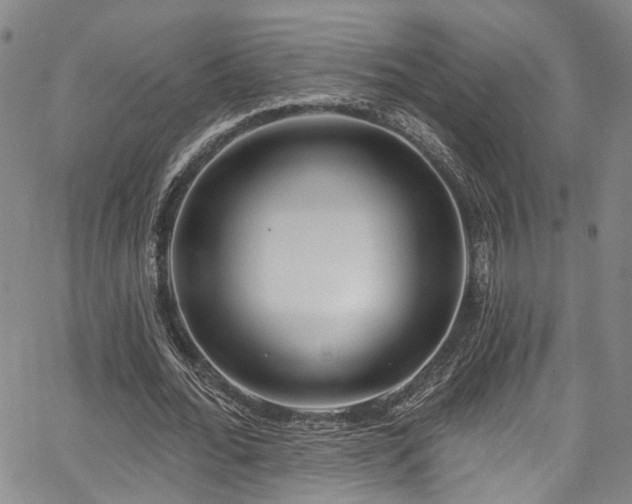 X0000067490676200604071204