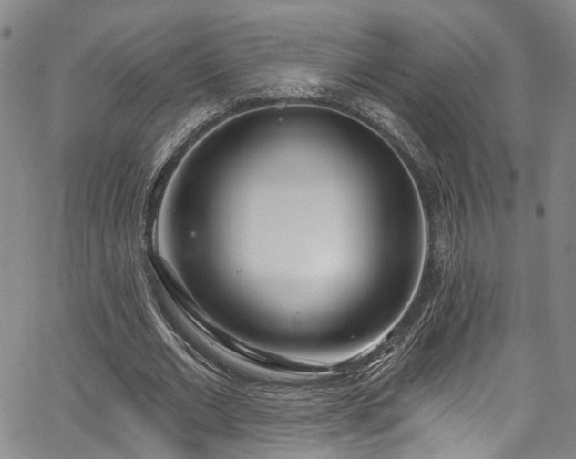 X0000067490677200604071204