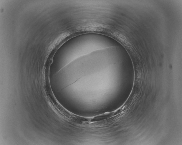 X0000067490678200604071204