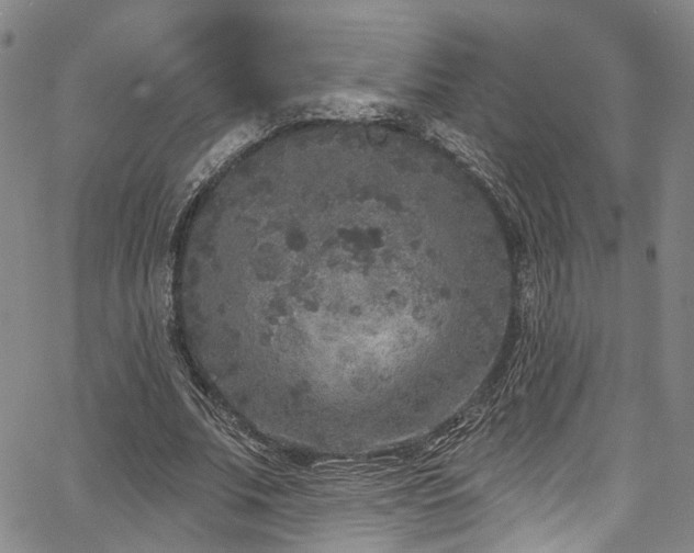 X0000067490679200604071204