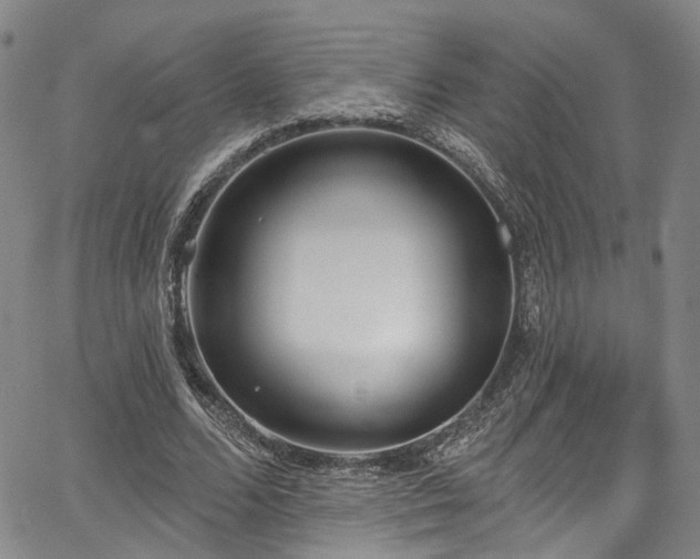 X0000067490680200604071204