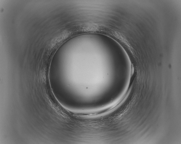 X0000067490681200604071204