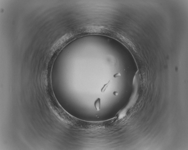 X0000067490682200604071204