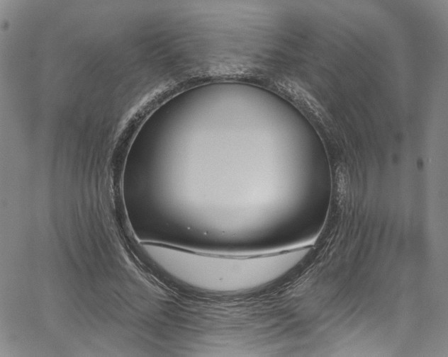 X0000067490684200604071204