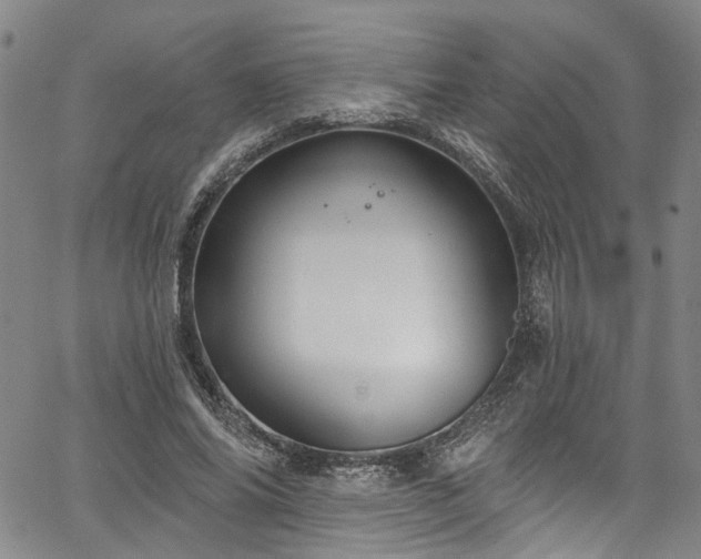 X0000067490686200604071204