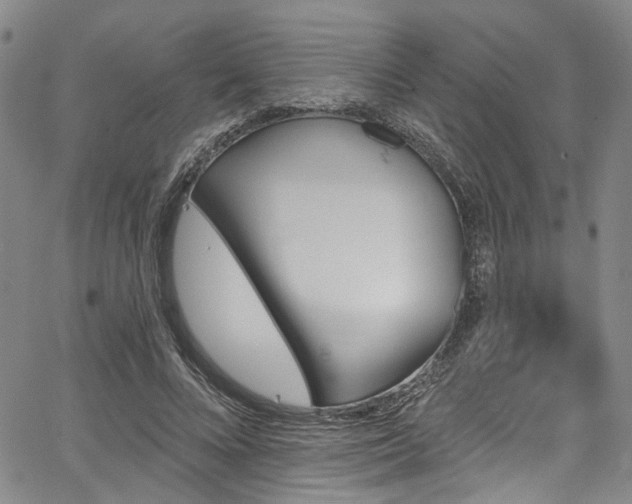 X0000067490688200604071204