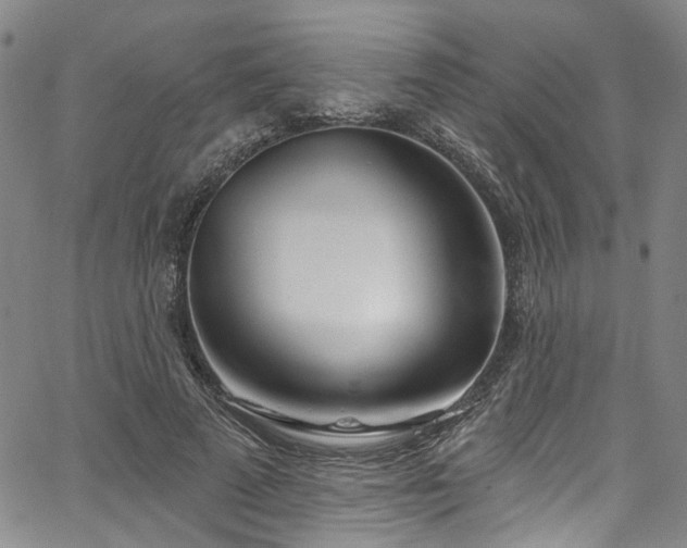 X0000067490689200604071204