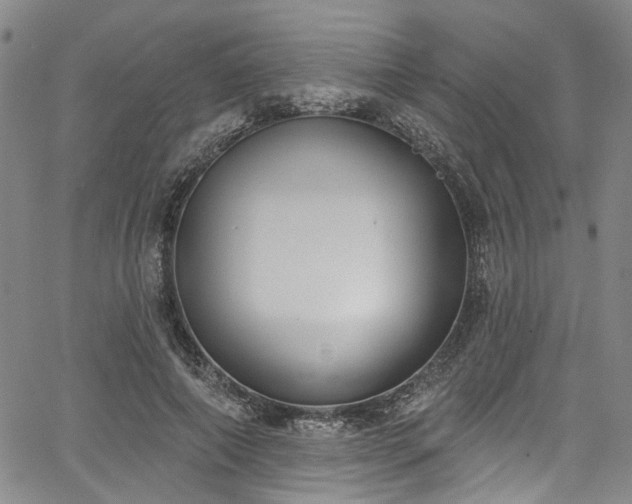 X0000067490690200604071204