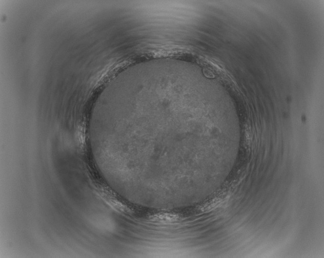 X0000067490691200604071204