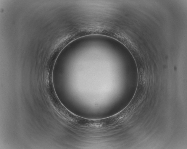 X0000067490692200604071204