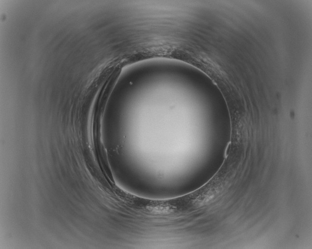 X0000067490693200604071204