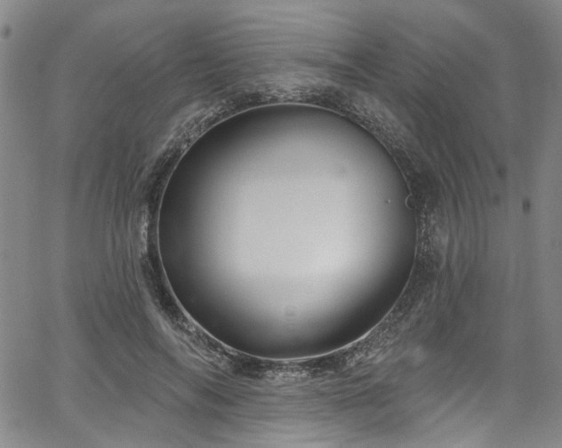 X0000067490694200604071204