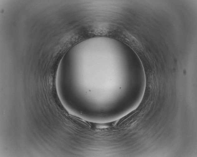 X0000067490697200604071204