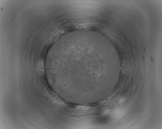 X0000067490699200604071204