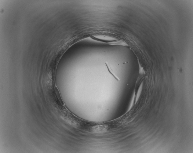 X0000067490700200604071204