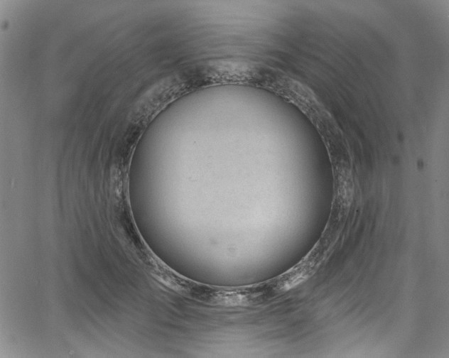 X0000067490701200604071204