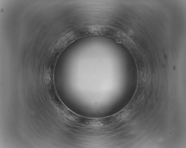 X0000067490702200604071204