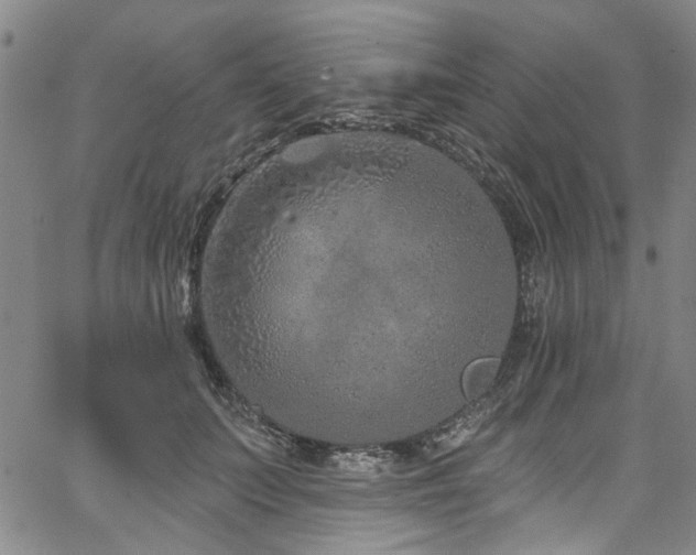 X0000067490703200604071204