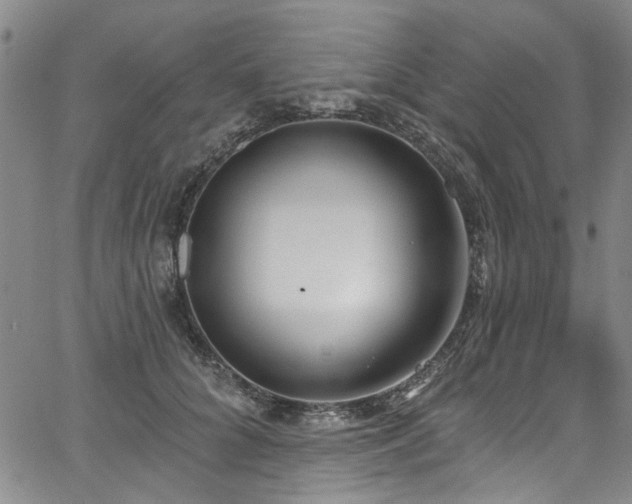 X0000067490704200604071204