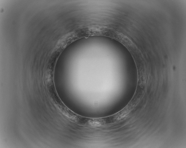 X0000067490706200604071204