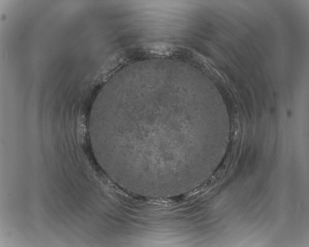 X0000067490707200604071204