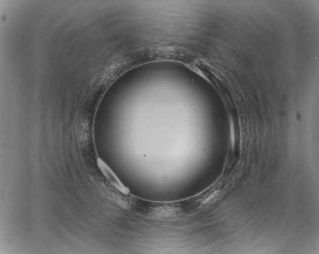 X0000067490708200604071204