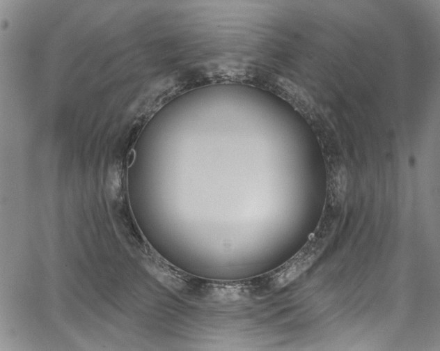 X0000067490709200604071204