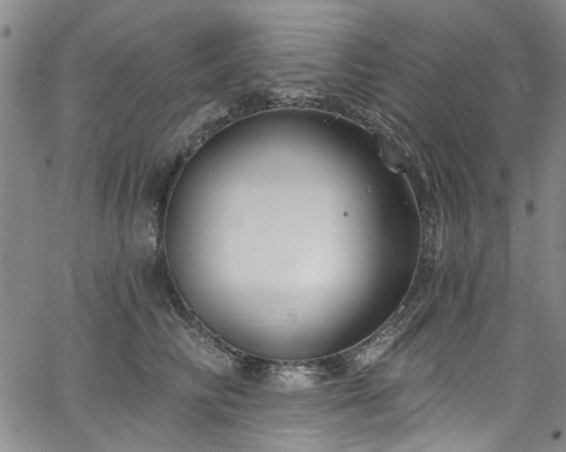 X0000067490710200604071204