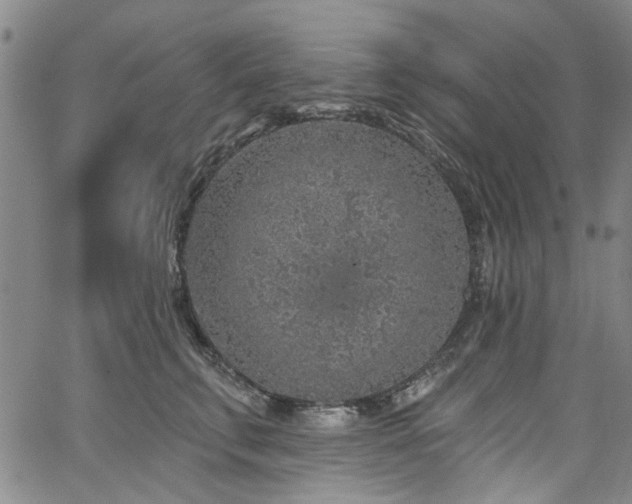 X0000067490711200604071204