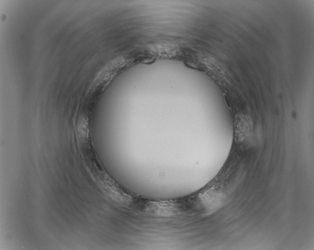 X0000067490713200604071204