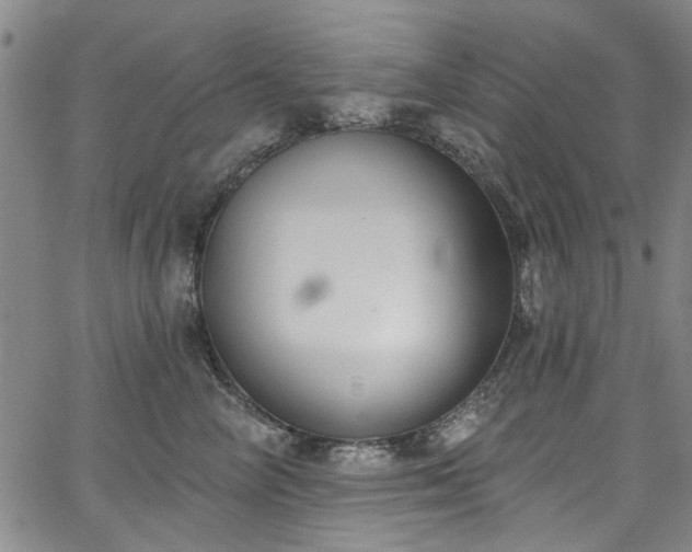 X0000067490714200604071204