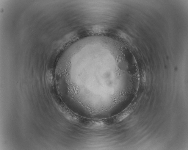 X0000067490715200604071204