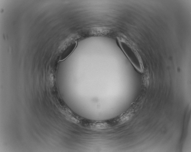 X0000067490716200604071204