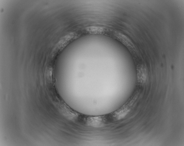 X0000067490717200604071204