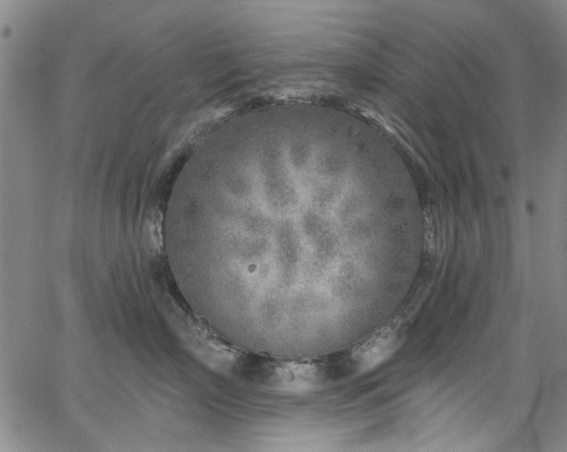 X0000067490718200604071204