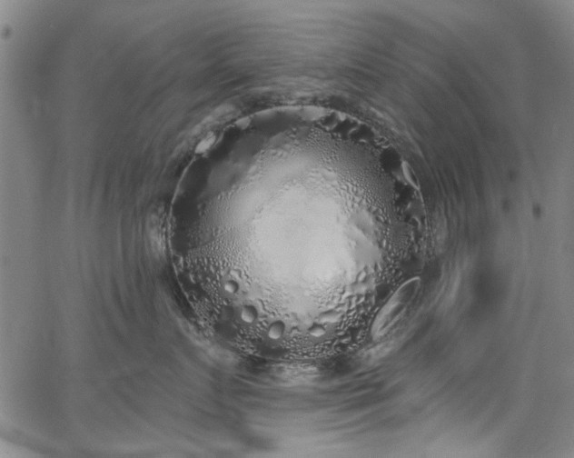 X0000067490719200604071204