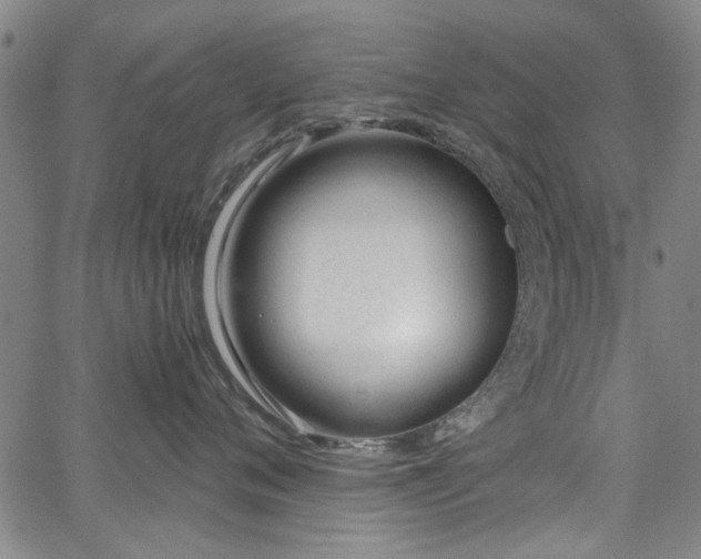 X0000067490720200604071204