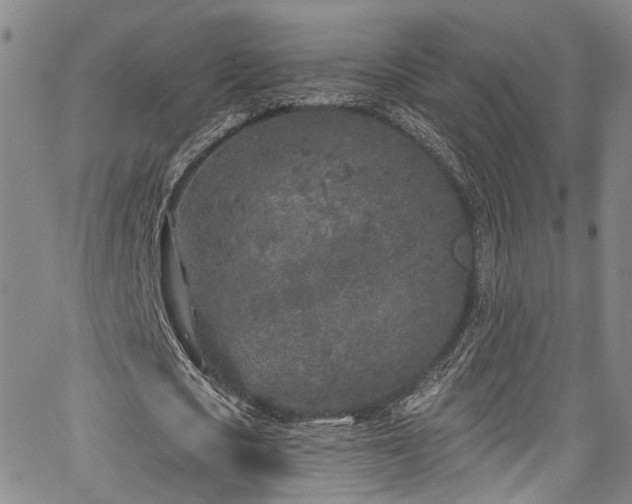 X0000067490721200604071203