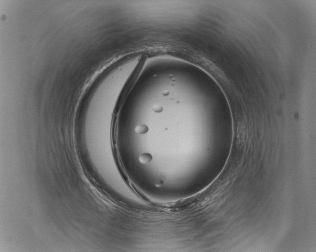 X0000067490722200604071203