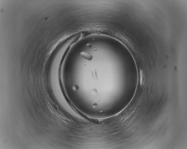 X0000067490723200604071203