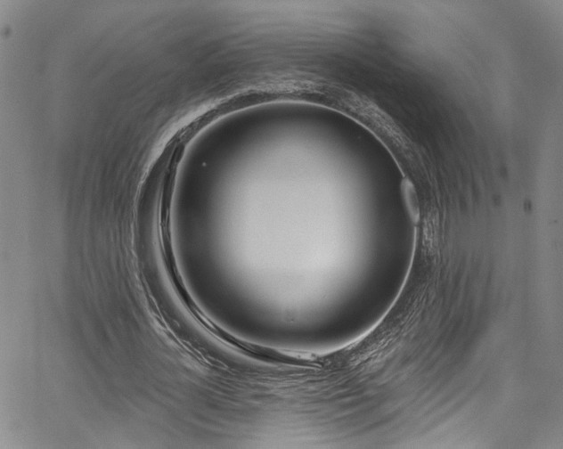 X0000067490724200604071203