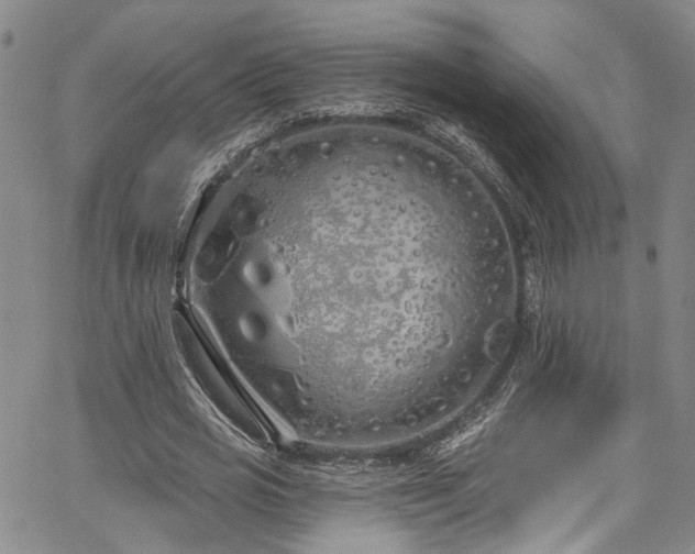 X0000067490725200604071203