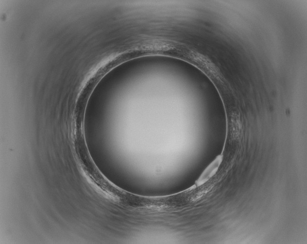 X0000067490726200604071203