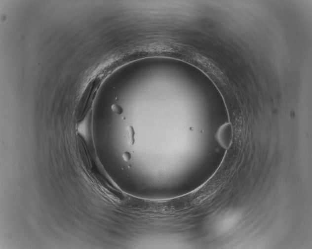 X0000067490727200604071203